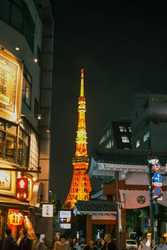 Roberto.Tokyo Premium Domain